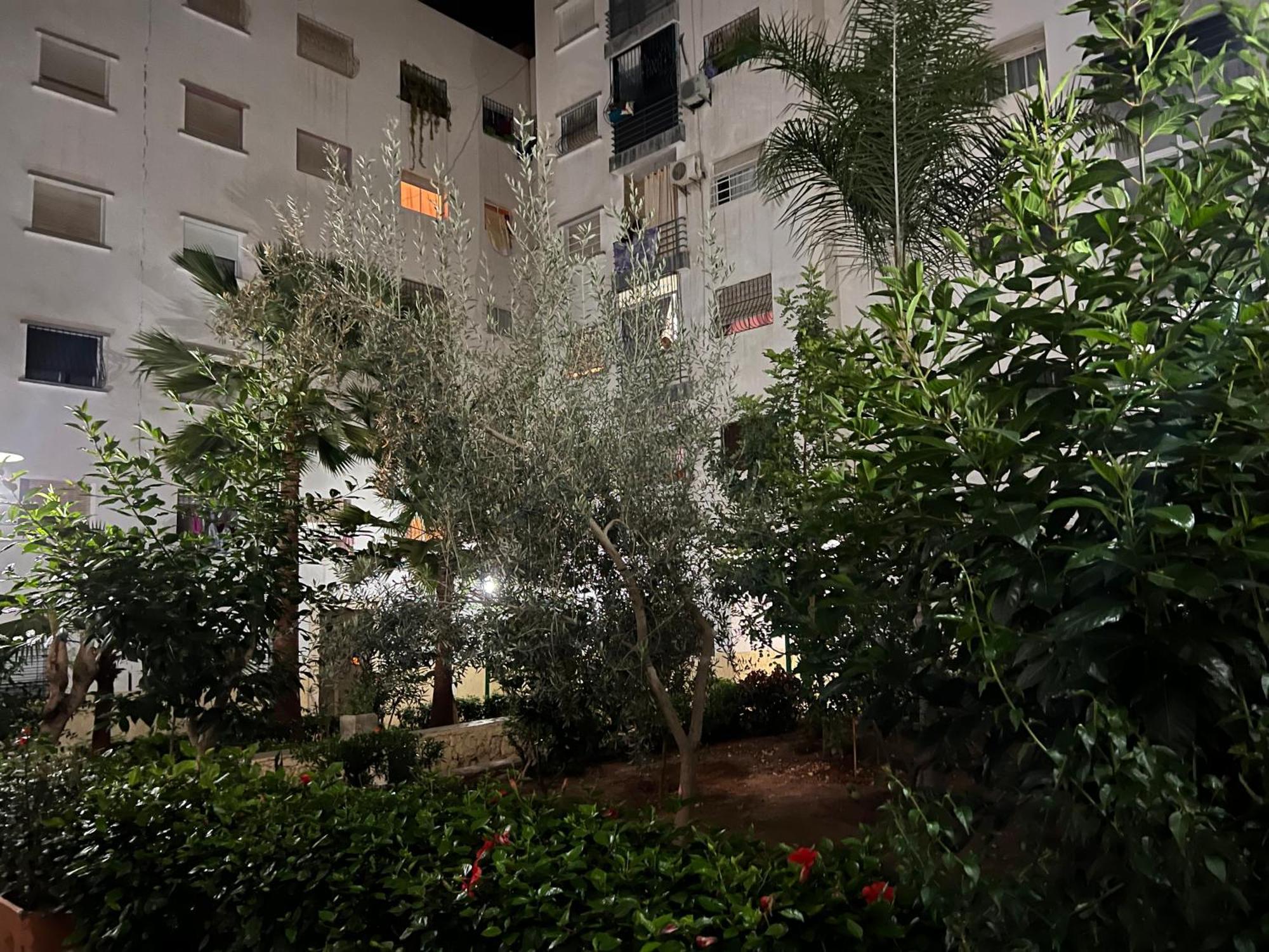 Apartment Cheap